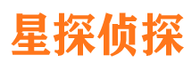 平山寻人公司